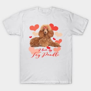 I Love My Toy Poodle! Especially for Poodle Lovers! T-Shirt